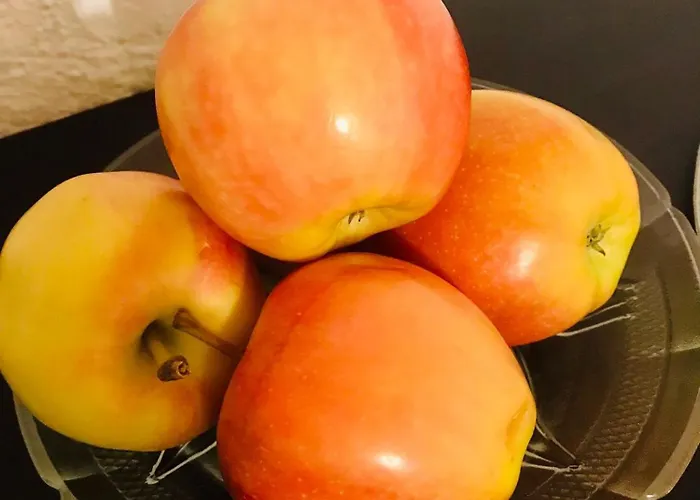 Amos Homes 3* בוקרשט