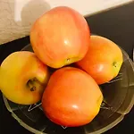 Amos Homes 3* Βουκουρέστι