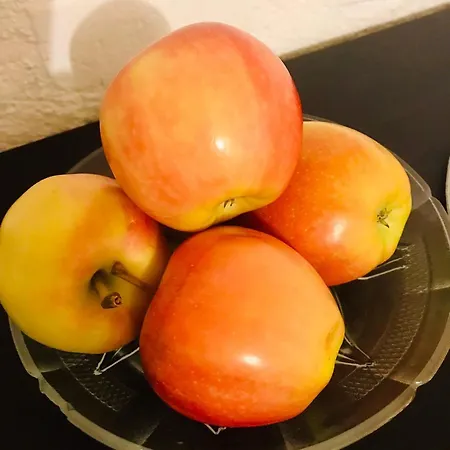 Amos Homes 3* Bucarest